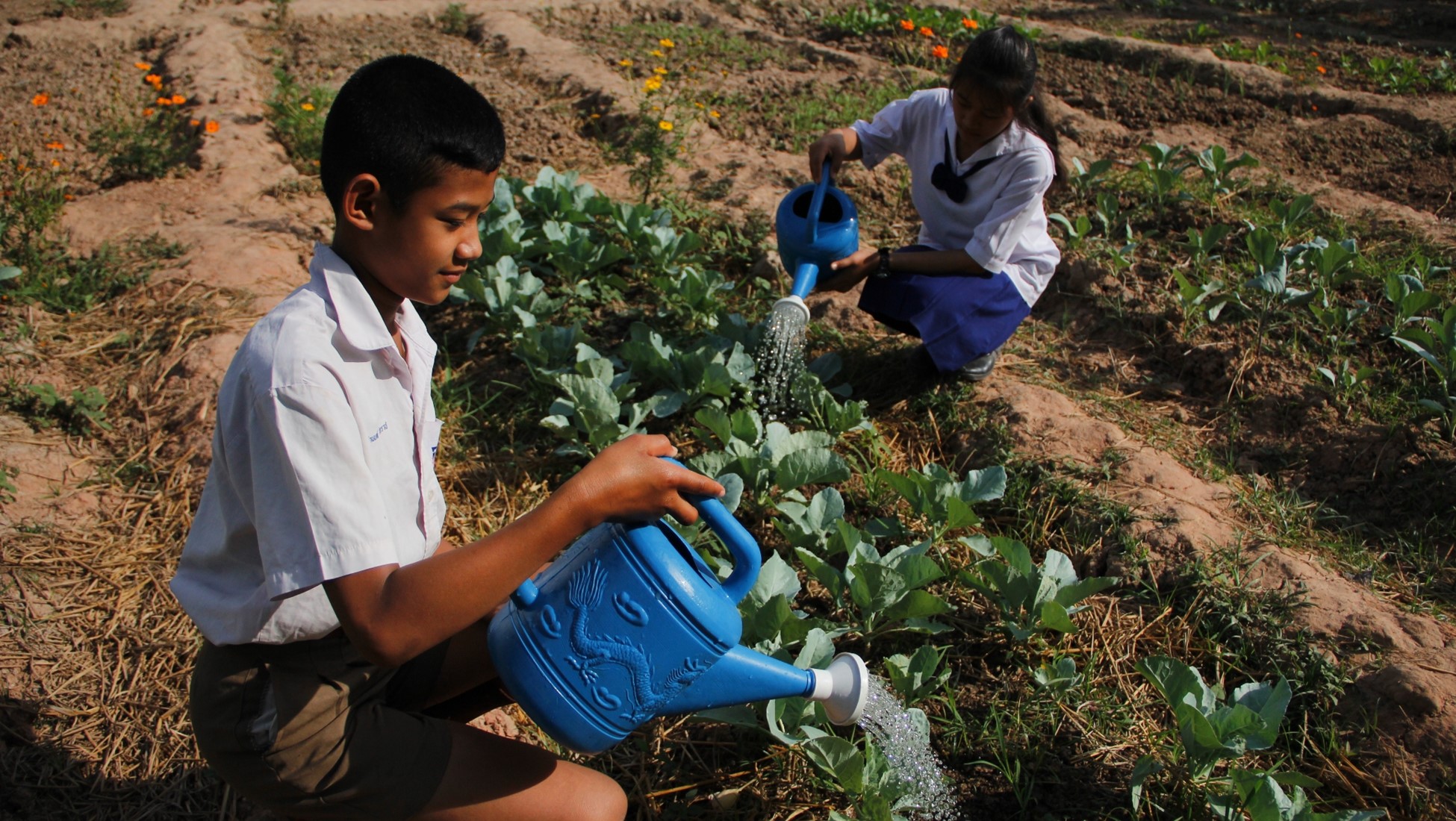 World Vision Foundation of Thailand